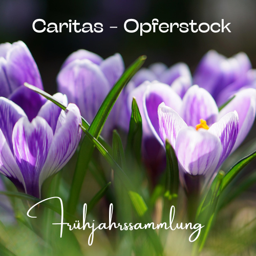 Caritas_Opferstock.png  